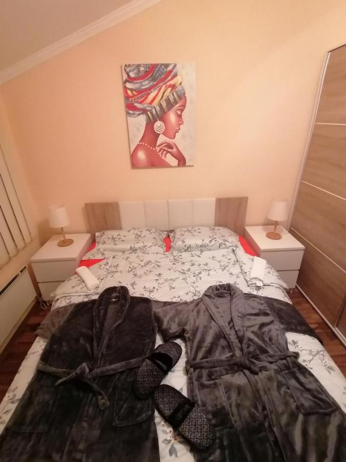 Apartman Dionis Sm سريمسكا ميتروفيكا المظهر الخارجي الصورة